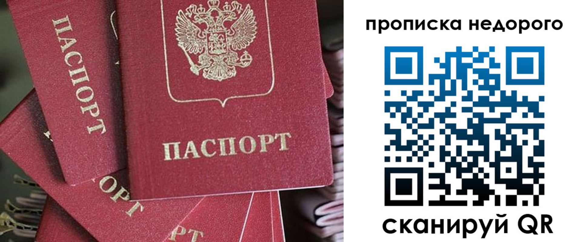 прописка поиск в Белгороде